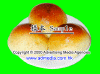Dscn0796 copy.GIF (62204 Ӧ줸)