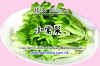 pŵ-1 copy.JPG (64634 Ӧ줸)