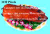 11MPixels.JPG (2956670 Ӧ줸)