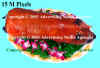15MPixels.JPG (3814076 Ӧ줸)