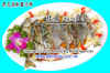 Fish1 copy.JPG (77785 Ӧ줸)