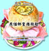 shark-fin6 copy.JPG (88381 Ӧ줸)