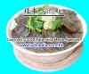 noodle4.JPG (37833 Ӧ줸)